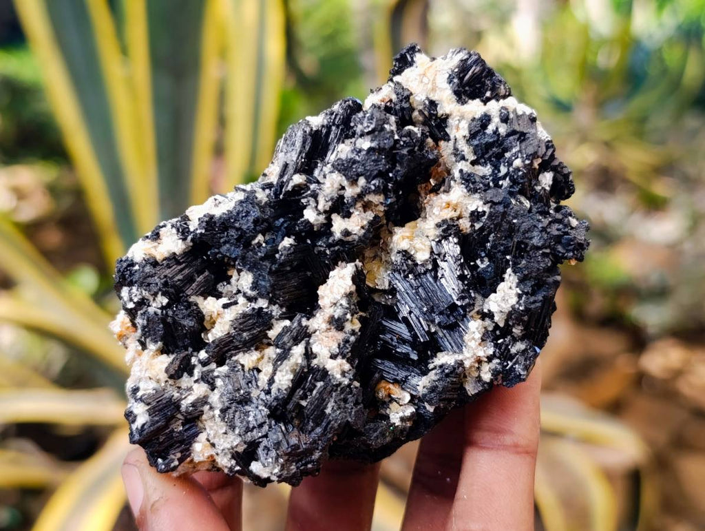 Natural Schorl Black Tourmaline Specimens x 6 From Erongo, Namibia - Toprock Gemstones and Minerals 