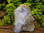 Natural Blue Lace Agate Geode Specimens x 4 From Nsanje, Malawi - Toprock Gemstones and Minerals 