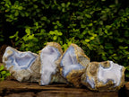 Natural Blue Lace Agate Geode Specimens x 4 From Nsanje, Malawi - Toprock Gemstones and Minerals 