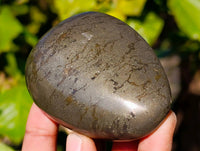 Polished Rare Pharaoh Stone Pyrite in Basalt Palm Stones x 6 Iron Duke Mine, Zimbabwe - Toprock Gemstones and Minerals 