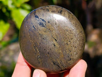 Polished Rare Pharaoh Stone Pyrite in Basalt Palm Stones x 6 Iron Duke Mine, Zimbabwe - Toprock Gemstones and Minerals 