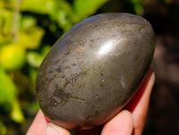 Polished Rare Pharaoh Stone Pyrite in Basalt Palm Stones x 6 Iron Duke Mine, Zimbabwe - Toprock Gemstones and Minerals 