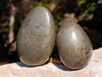 Polished Rare Pharaoh Stone Pyrite in Basalt Palm Stones x 6 Iron Duke Mine, Zimbabwe - Toprock Gemstones and Minerals 