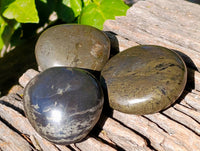 Polished Rare Pharaoh Stone Pyrite in Basalt Palm Stones x 6 Iron Duke Mine, Zimbabwe - Toprock Gemstones and Minerals 