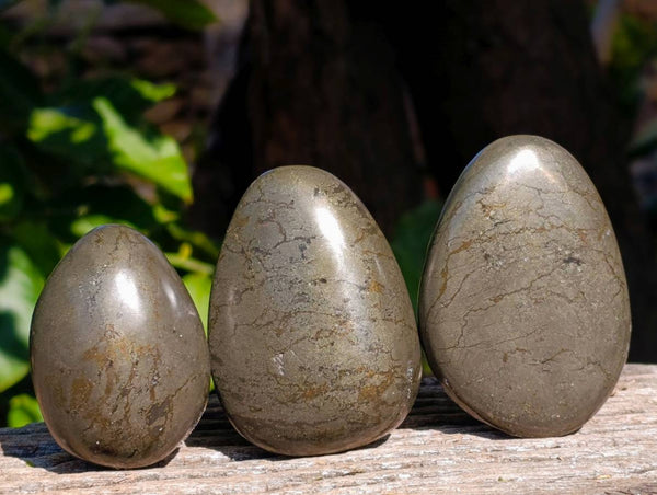 Polished Rare Pharaoh Stone Pyrite in Basalt Palm Stones x 6 Iron Duke Mine, Zimbabwe - Toprock Gemstones and Minerals 