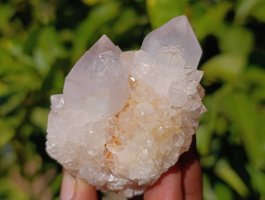 Natural Pale Lilac Spirit Quartz Clusters x 12 From Boekenhouthoek, South Africa - Toprock Gemstones and Minerals 