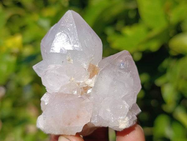 Natural Pale Lilac Spirit Quartz Clusters x 12 From Boekenhouthoek, South Africa