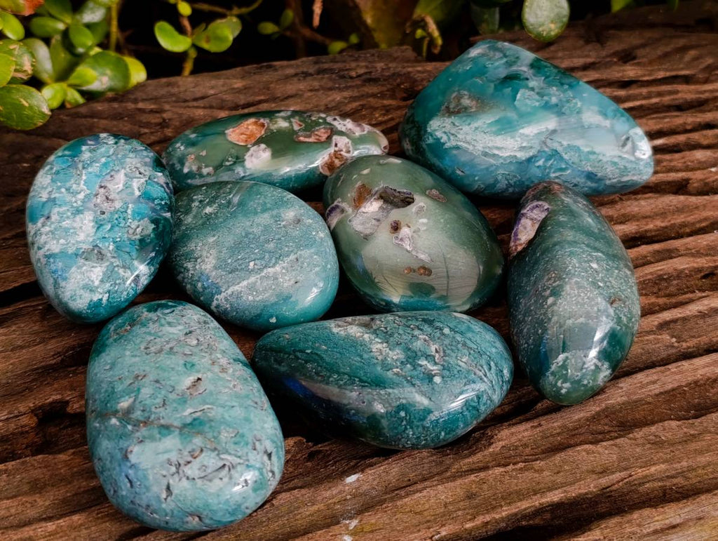Polished Emerald Mtorolite Free Forms x 8 From Mutorashanga, Zimbabwe - Toprock Gemstones and Minerals 