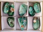 Polished Emerald Mtorolite Free Forms x 8 From Mutorashanga, Zimbabwe - Toprock Gemstones and Minerals 