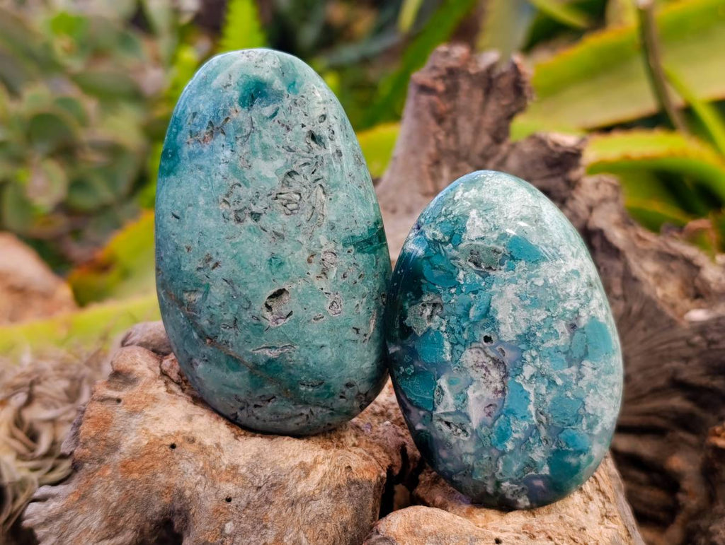 Polished Emerald Mtorolite Free Forms x 8 From Mutorashanga, Zimbabwe - Toprock Gemstones and Minerals 
