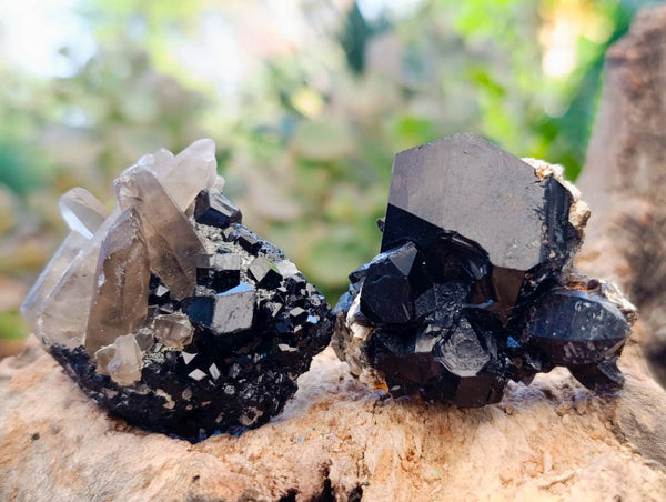 Natural Schorl Black Tourmaline, Smokey Quartz and Hyalite Opal Specimens x 12 From Erongo, Namibia