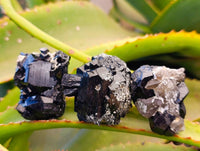 Natural Schorl Black Tourmaline, Smokey Quartz and Hyalite Opal Specimens x 12 From Erongo, Namibia