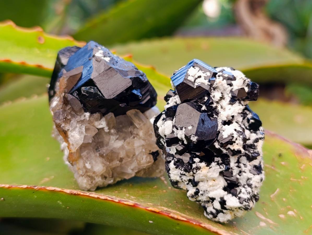 Natural Schorl Black Tourmaline, Smokey Quartz and Hyalite Opal Specimens x 12 From Erongo, Namibia - Toprock Gemstones and Minerals 