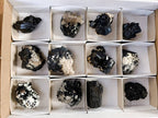 Natural Schorl Black Tourmaline, Smokey Quartz and Hyalite Opal Specimens x 12 From Erongo, Namibia - Toprock Gemstones and Minerals 