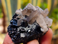 Natural Schorl Black Tourmaline, Smokey Quartz and Hyalite Opal Specimens x 12 From Erongo, Namibia