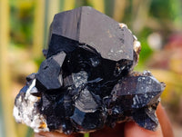 Natural Schorl Black Tourmaline, Smokey Quartz and Hyalite Opal Specimens x 12 From Erongo, Namibia