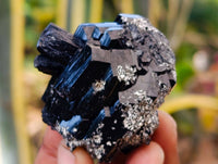 Natural Schorl Black Tourmaline, Smokey Quartz and Hyalite Opal Specimens x 12 From Erongo, Namibia