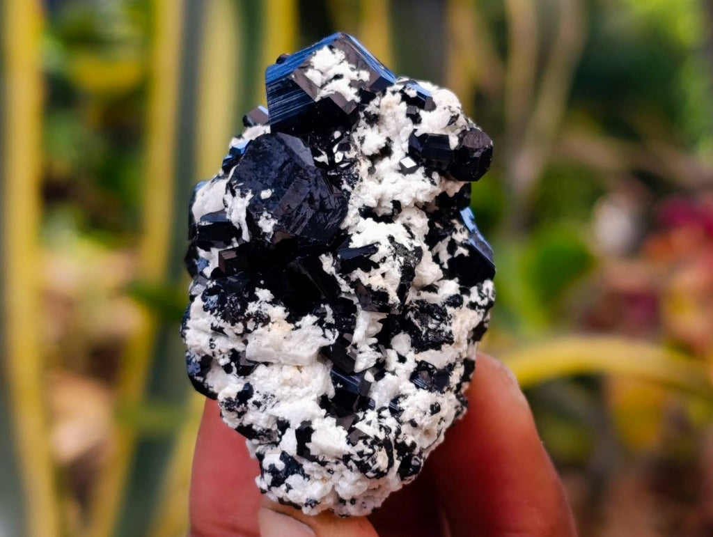 Natural Schorl Black Tourmaline, Smokey Quartz and Hyalite Opal Specimens x 12 From Erongo, Namibia - Toprock Gemstones and Minerals 