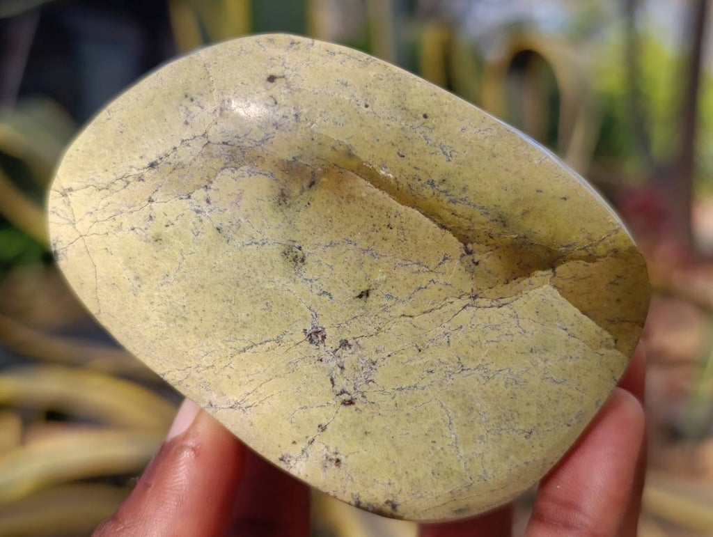 Polished Leopard Stone Free Forms x 3 From Nyanga, Zimbabwe - Toprock Gemstones and Minerals 