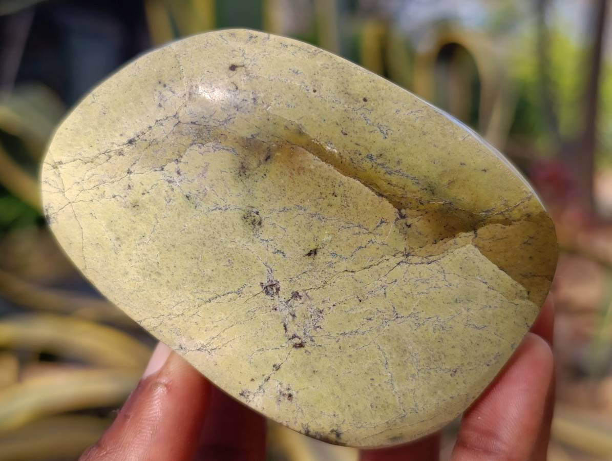 Polished Leopard Stone Free Forms x 3 From Nyanga, Zimbabwe - Toprock Gemstones and Minerals 