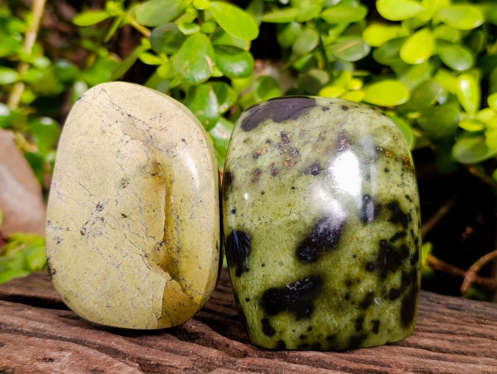 Polished Leopard Stone Free Forms x 3 From Nyanga, Zimbabwe - Toprock Gemstones and Minerals 