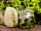 Polished Leopard Stone Free Forms x 3 From Nyanga, Zimbabwe - Toprock Gemstones and Minerals 