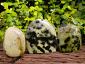 Polished Leopard Stone Free Forms x 3 From Nyanga, Zimbabwe - Toprock Gemstones and Minerals 