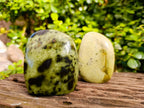 Polished Leopard Stone Free Forms x 3 From Nyanga, Zimbabwe - Toprock Gemstones and Minerals 