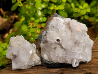 Natural Assortment Of Brandberg Quartz Specimens, one with Enhydro Bubbles x 6 From Brandberg, Namibia