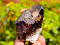 Natural Assortment Of Brandberg Quartz Specimens, one with Enhydro Bubbles x 6 From Brandberg, Namibia