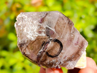 Natural Assortment Of Brandberg Quartz Specimens, one with Enhydro Bubbles x 6 From Brandberg, Namibia