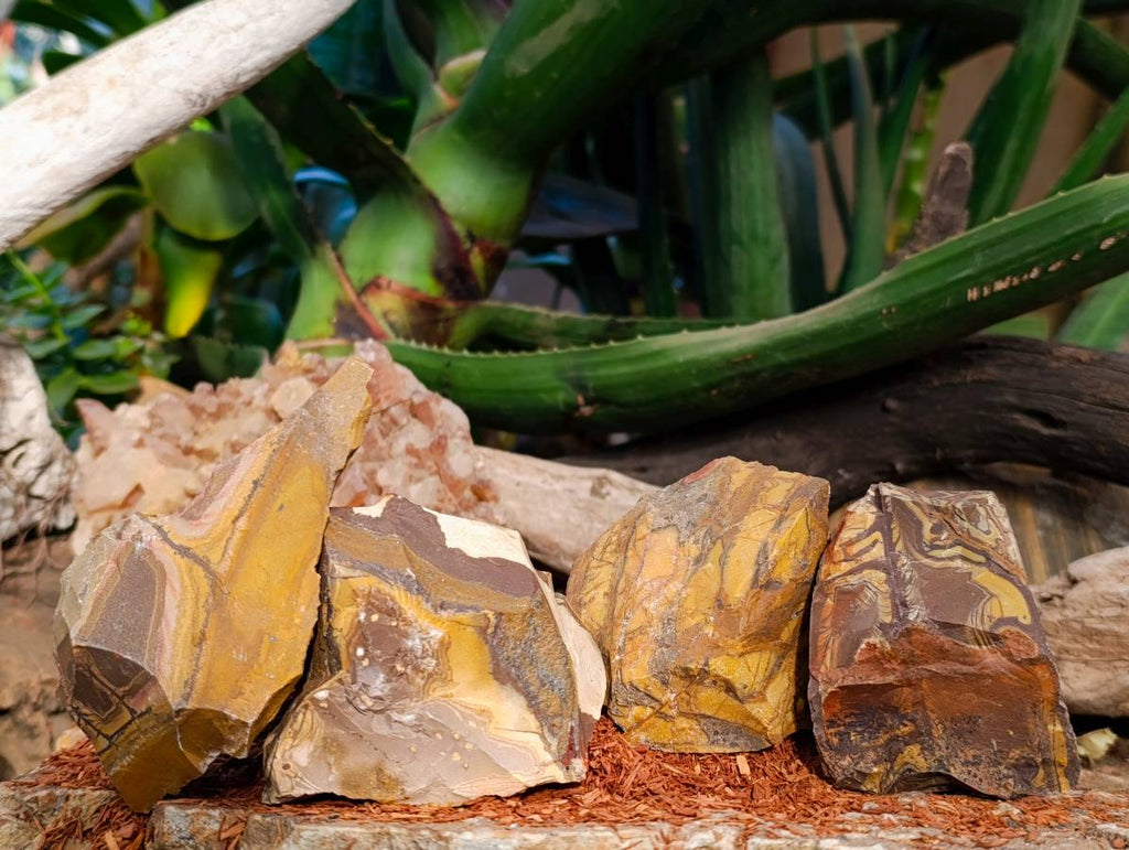 Natural Nguni Jasper Cobbed Specimens x 15 From Prieska, South Africa - Toprock Gemstones and Minerals 