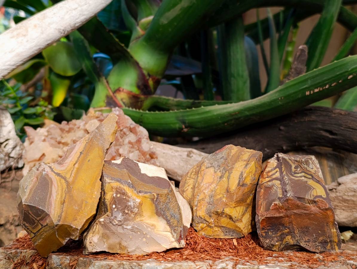 Natural Nguni Jasper Cobbed Specimens x 15 From Prieska, South Africa - Toprock Gemstones and Minerals 