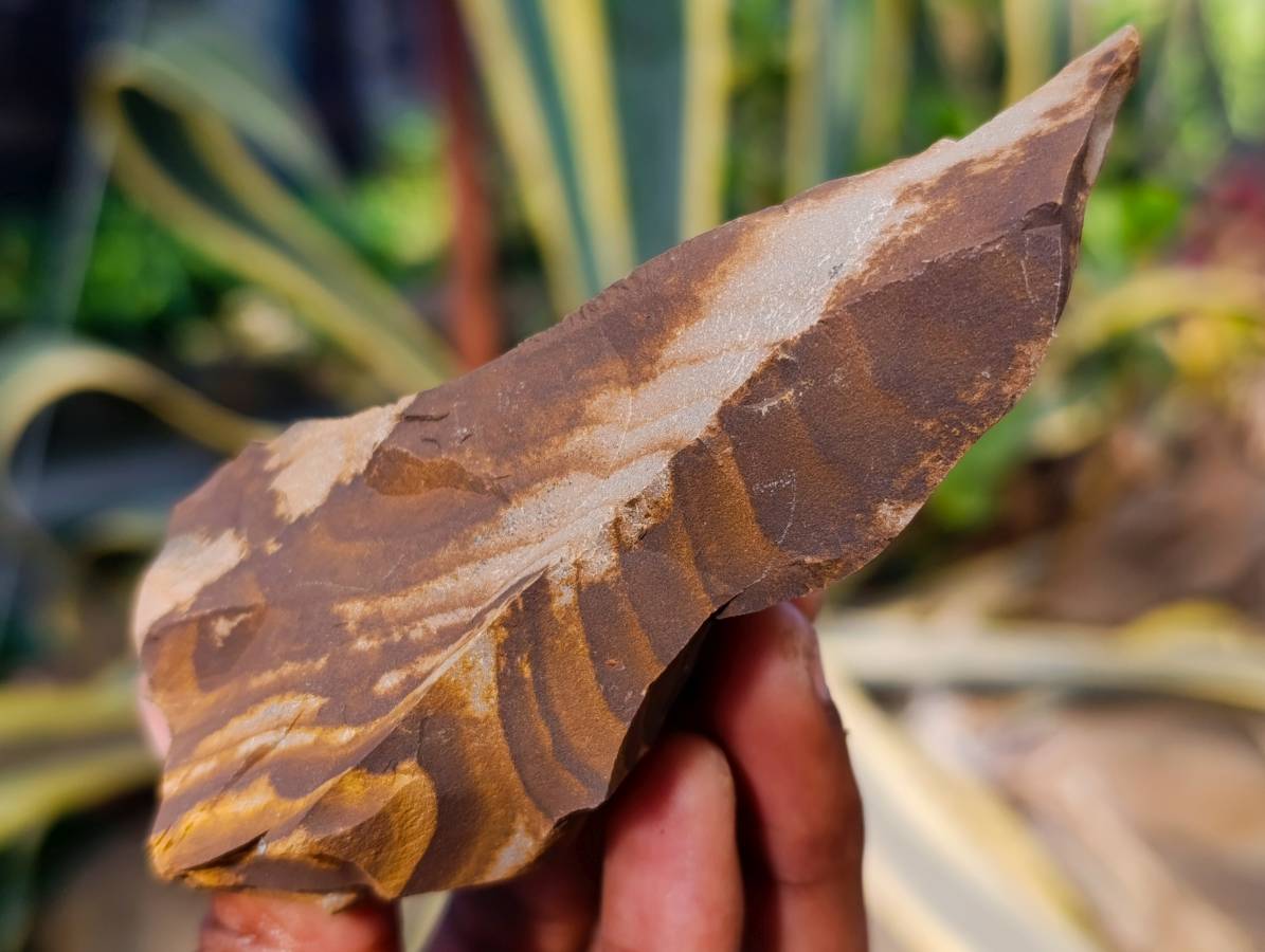 Natural Nguni Jasper Cobbed Specimens x 15 From Prieska, South Africa - Toprock Gemstones and Minerals 