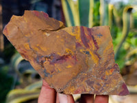 Natural Nguni Jasper Cobbed Specimens x 15 From Prieska, South Africa