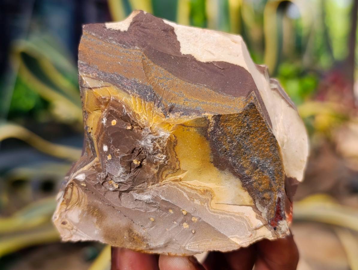 Natural Nguni Jasper Cobbed Specimens x 15 From Prieska, South Africa - Toprock Gemstones and Minerals 