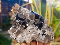 Natural Schorl Black Tourmaline, Smokey Quartz and Hyalite Opal Specimens x 3 From Erongo, Namibia