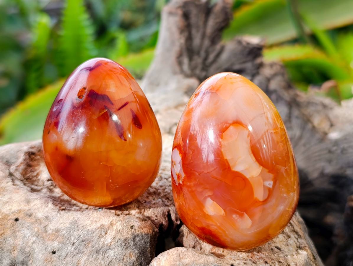 Polished Carnelian Agate Gemstone Eggs x 12 From Madagascar - Toprock Gemstones and Minerals 
