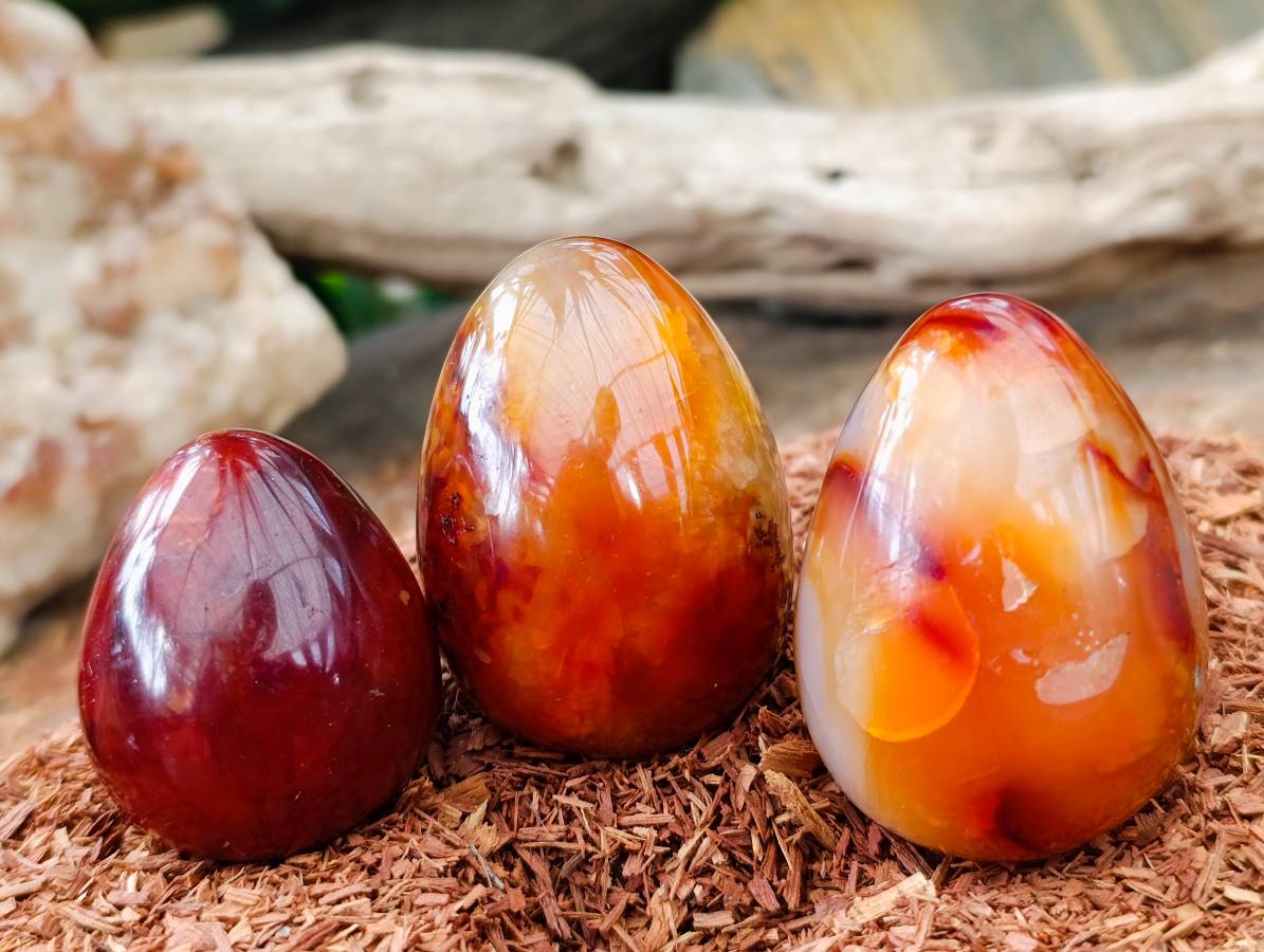 Polished Carnelian Agate Gemstone Eggs x 12 From Madagascar - Toprock Gemstones and Minerals 