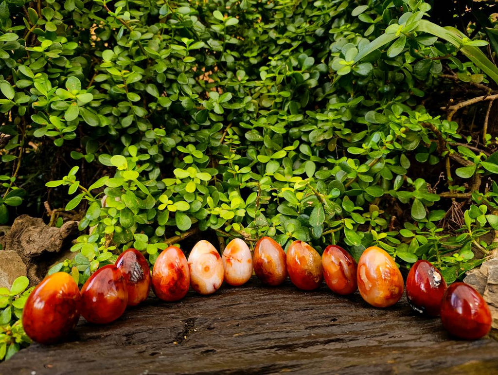 Polished Carnelian Agate Gemstone Eggs x 12 From Madagascar - Toprock Gemstones and Minerals 