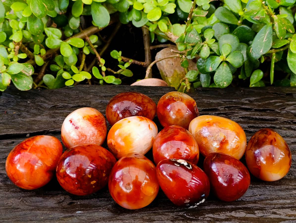 Polished Carnelian Agate Gemstone Eggs x 12 From Madagascar - Toprock Gemstones and Minerals 