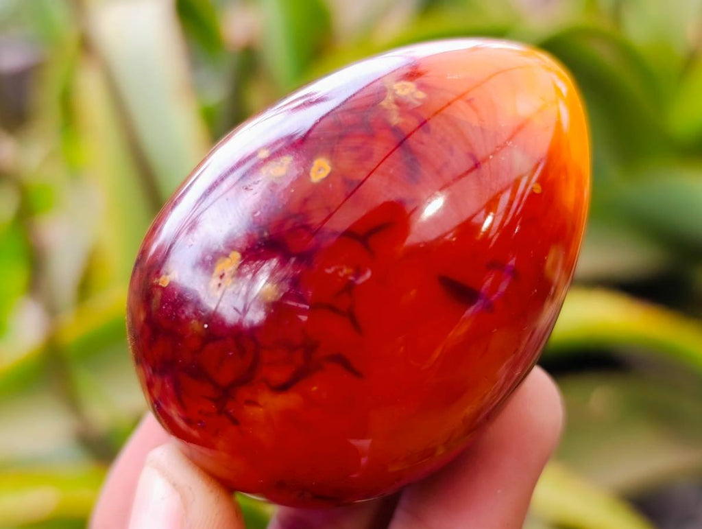 Polished Carnelian Agate Gemstone Eggs x 12 From Madagascar - Toprock Gemstones and Minerals 