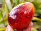 Polished Carnelian Agate Gemstone Eggs x 12 From Madagascar - Toprock Gemstones and Minerals 