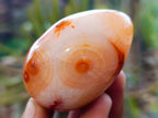 Polished Carnelian Agate Gemstone Eggs x 12 From Madagascar - Toprock Gemstones and Minerals 