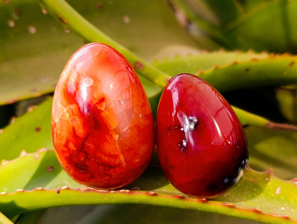 Polished Carnelian Agate Gemstone Eggs x 12 From Madagascar - Toprock Gemstones and Minerals 