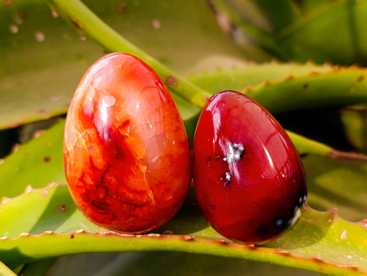 Polished Carnelian Agate Gemstone Eggs x 12 From Madagascar - Toprock Gemstones and Minerals 