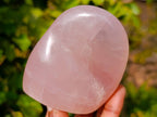 Polished Rose Quartz Standing Free Forms x 3 Madagascar - Toprock Gemstones and Minerals 