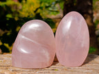 Polished Rose Quartz Standing Free Forms x 3 Madagascar - Toprock Gemstones and Minerals 