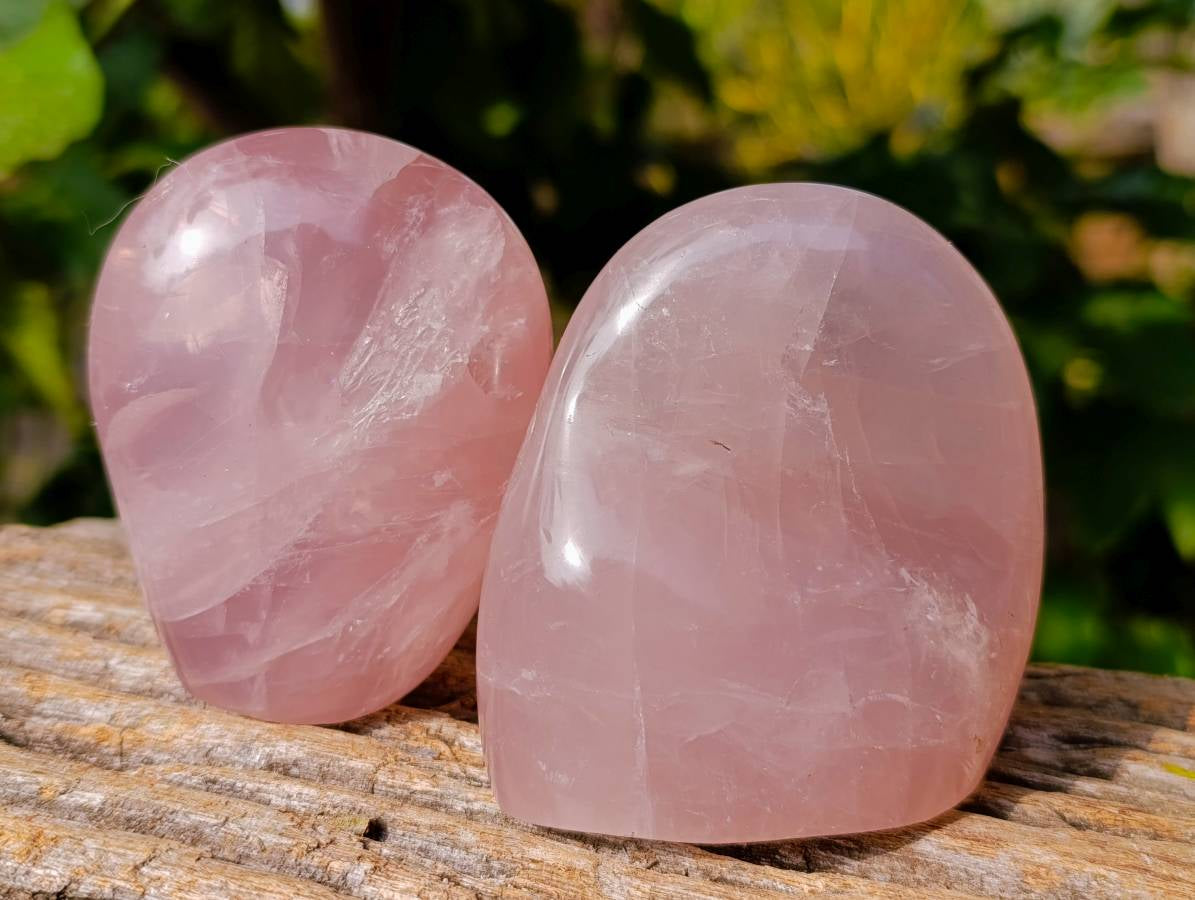 Polished Rose Quartz Standing Free Forms x 3 Madagascar - Toprock Gemstones and Minerals 