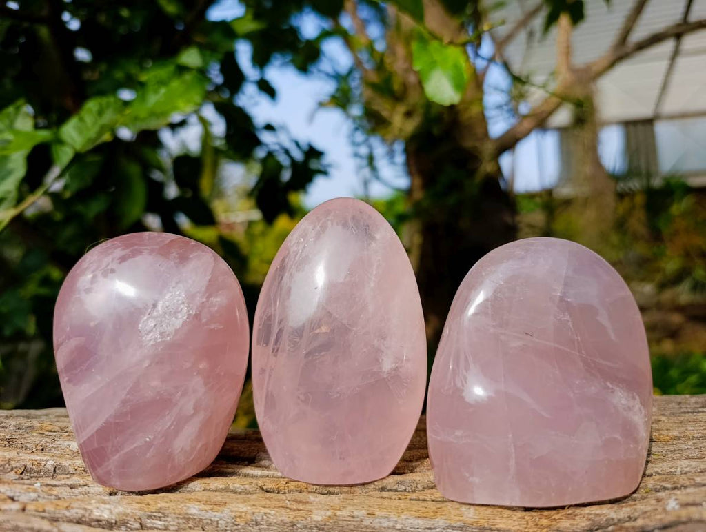 Polished Rose Quartz Standing Free Forms x 3 Madagascar - Toprock Gemstones and Minerals 